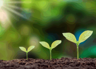 Transitions Life Recovery Navigating Changes